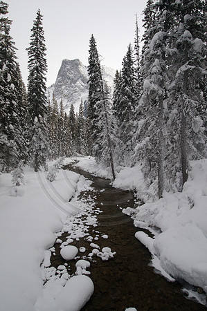 Emerald Lake Lodge