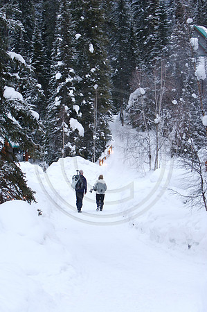 Emerald Lake Lodge