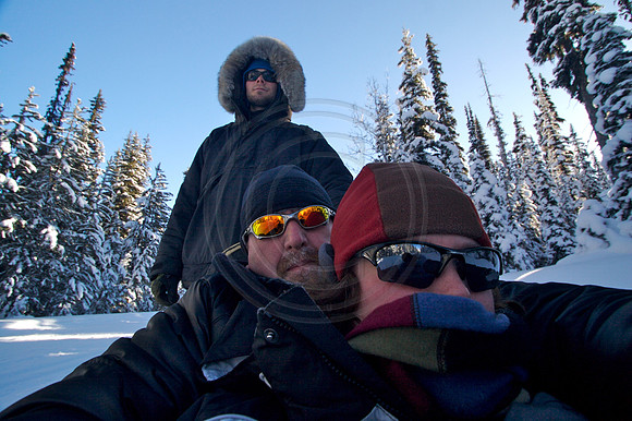 Dog Sledding