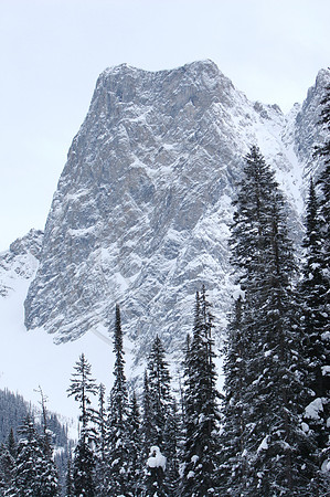 Emerald Lake Lodge