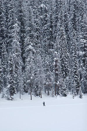 Emerald Lake Scenary