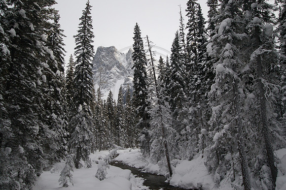 Emerald Lake Lodge