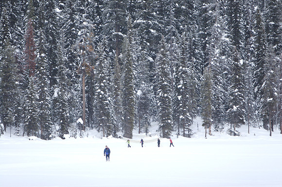 Emerald Lake Lodge