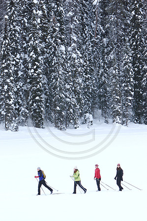 Emerald Lake Lodge
