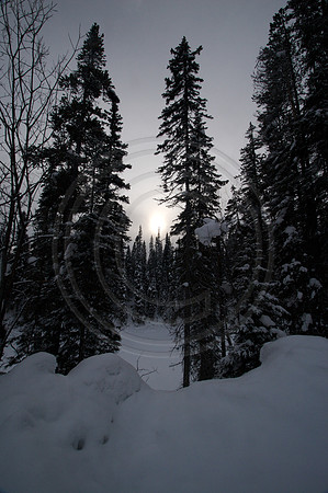 Emerald Lake Lodge