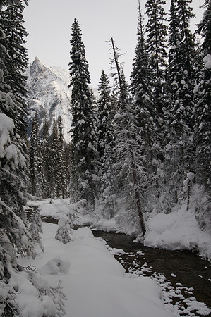 Emerald Lake Lodge