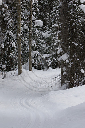 Emerald Lake Lodge