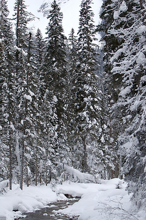 Emerald Lake Lodge
