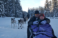 Dog Sledding