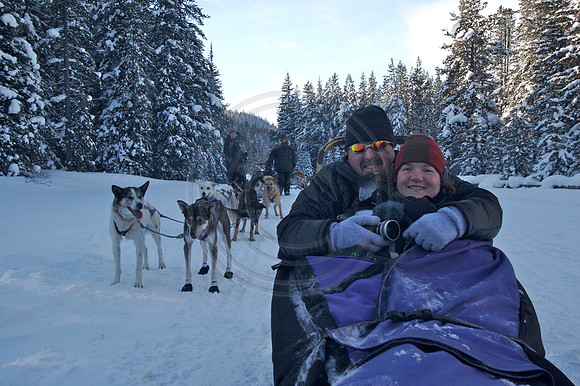 Dog Sledding