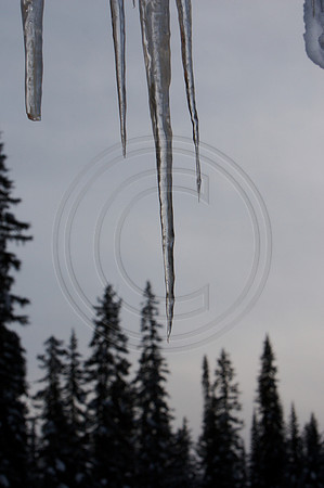 Emerald Lake Lodge