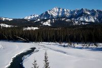 Dog Sledding