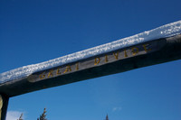 Dog Sledding