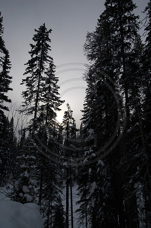 Emerald Lake Lodge