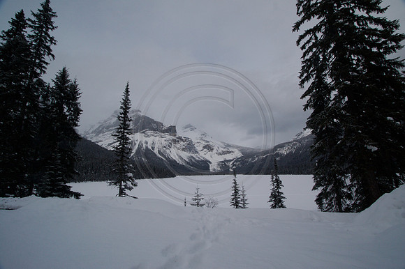 Emerald Lake Lodge