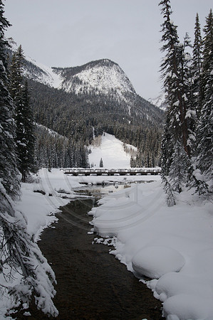Emerald Lake Lodge