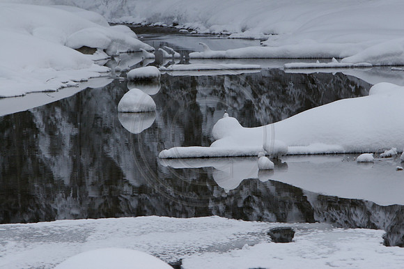 Emerald Lake Lodge