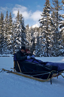 Dog Sledding