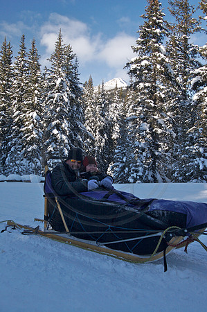 Dog Sledding