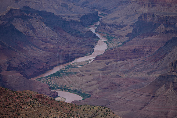 TMI_7561