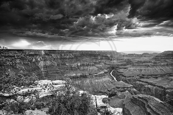TMI_7883_HDR - Version 2