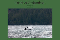 British Columbia 2009
