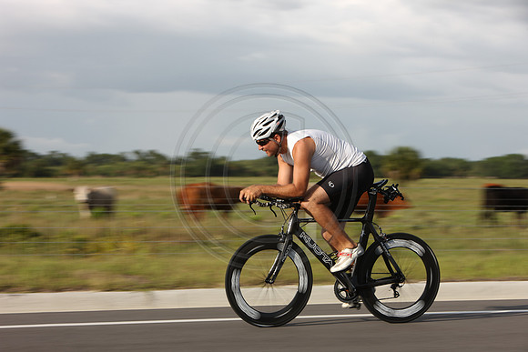Carbon Rims
