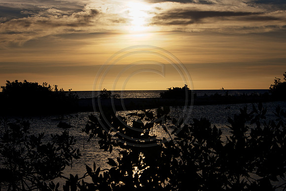 Bonaire sunset