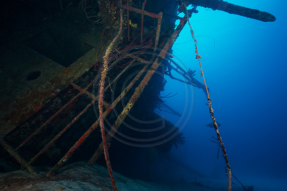 Hilma Hooker