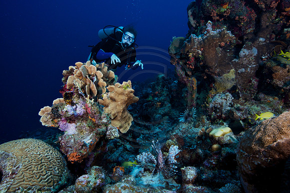 Bonaire Getaway, Bonaire Getaway