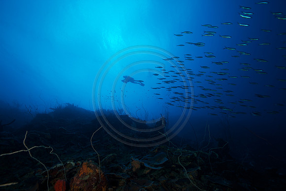 Bonaire Getaway, Bonaire Getaway