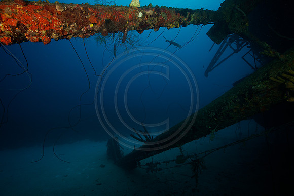 Hilma Hooker