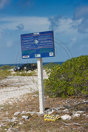 Sweet Dreams dive marker