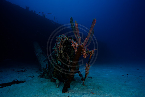 Hilma Hooker Wreck