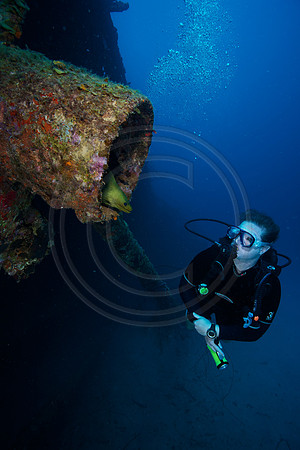 Melissa and a large Green Moray Melissa and Tarpon on the Hilma on the Hooker Wreck