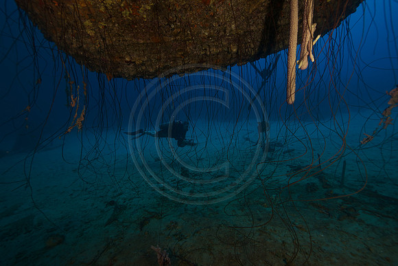 Melissa and scooter on the HilmaHooker wreck