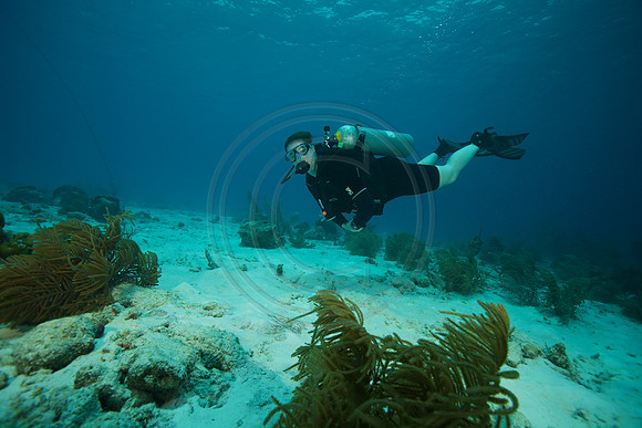 Melissa at the end of the dive