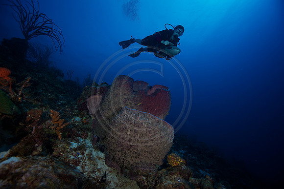 Bonaire Getaway, Bonaire Getaway