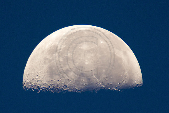 LMP_3821