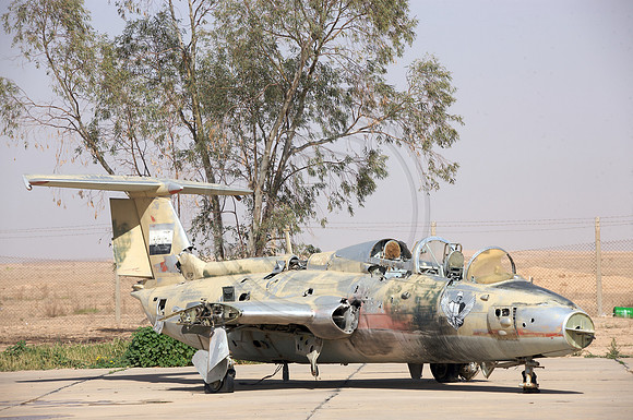 LMP_3773