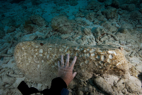Bonaire Getaway, Bonaire Getaway