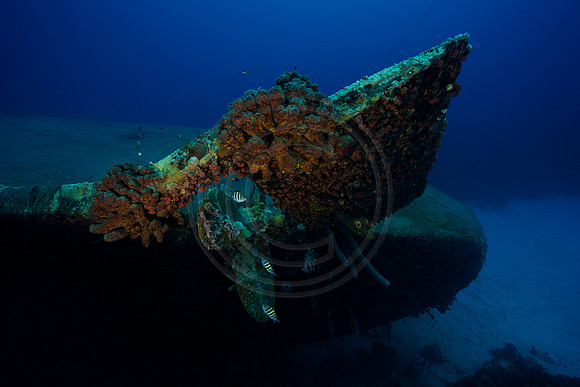 Hilma Hooker Wreck