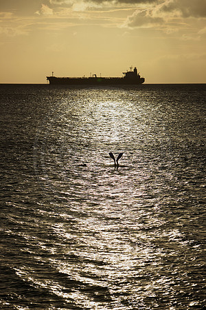 Snorkeler at Sunset