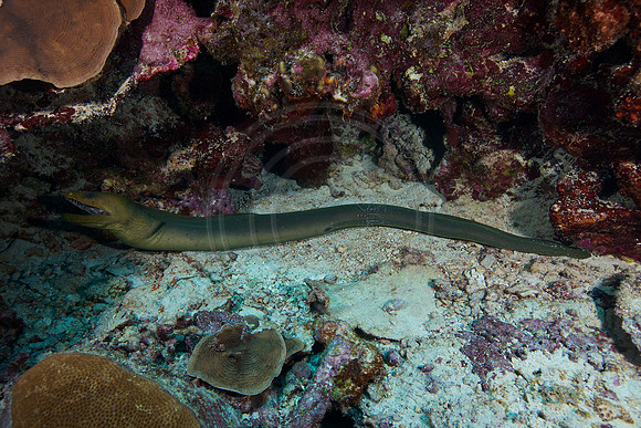 Bonaire Getaway, Bonaire Getaway