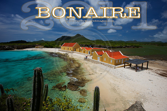 Bonaire Book Cover