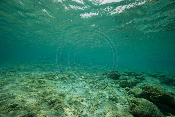 Bonaire Getaway, Bonaire Getaway