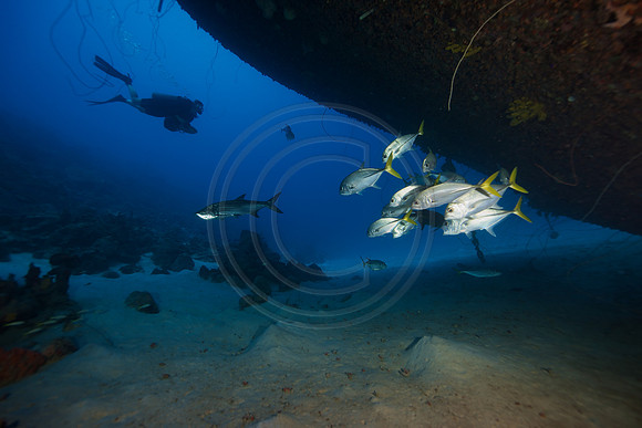 Melissa and scooter on the HilmaHooker wreck