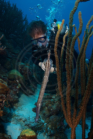 Melissa gets close to a Trumpetfish