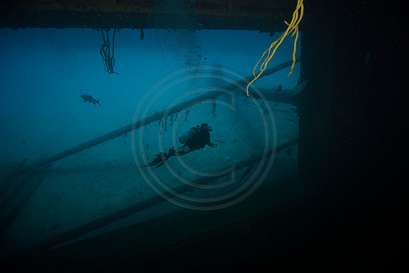 Melissa and Tarpon on the Hilma Hooker Wreck