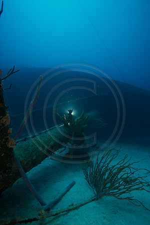 Hilma Hooker Wreck